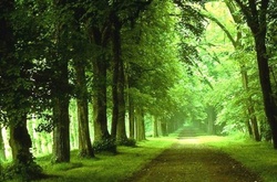 В Україну прийшла довгоочікувана прохолода   