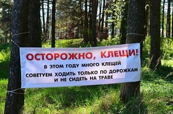 В окупованому Криму нова халепа - нашестя кліщів