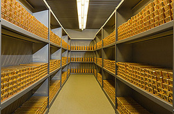 В золотовалютних резервах України назбиралося близько 14 мільярдів доларів