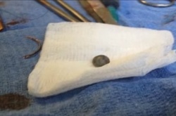 У центрі Києва водій влаштував стрілянину