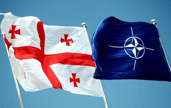 На саміті НАТО підтримали прагнення Грузії стати членом Альянсу