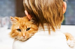 10 глупых мифов о кошках, в которые верят практически все