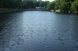 На Київщині рибалку вбило струмом