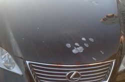 На столичній стоянці обстріляли автомобіль адвоката