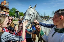 У Древньому Києві покажуть 20 історичних порід коней