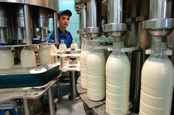 Молдова не скасує мито на українську м'ясо-молочну продукцію та цемент