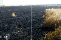 Штаб АТО показав пшеничні поля в Мар’їнці, які знищили бойовики 