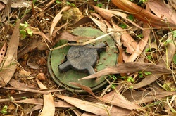 В Луганській області на міні підірвалася жінка