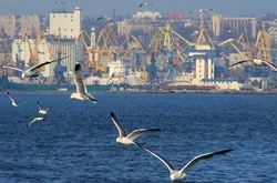 Якість повітря в Маріуполі повністю відповідає нормам - дані лабораторії