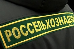 Росія ввела обмеження на ввезення кормів з України