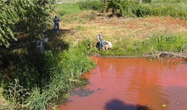 На Київщині річка Стугна стала «кривавою»: вода пахне ацетоном, риба вимерла 