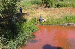 На Київщині річка Стугна стала «кривавою»: вода пахне ацетоном, риба вимерла 