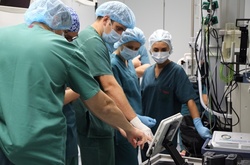 Директор Інституту серця назвав головну перешкоду для трансплантацій органів в Україні