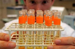 Росію можуть не допустити до Олімпіади-2016 через звіт Всесвітнього антидопінгового агентства