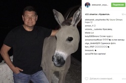 Нардеп-втікач Онищенко опублікував в соцмережах фото з віслюком