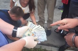 На хабарі спіймали двох працівників Держінспекції сільського господарства