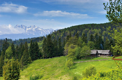 Фото з вільного доступу&nbsp;