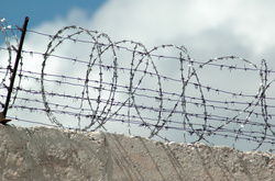 У колонії під Києвом бунт: частина в'язнів втекла