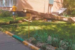  ФОТО:&nbsp; zpravda.ru