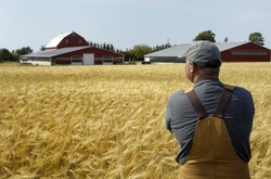В Аграрній партії розказали, як селянам боротися з великими холдингами, які руйнують інфраструктуру