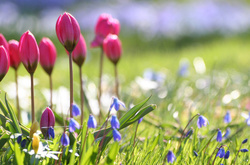 Завтра в Україні місцями дощі, температура до +30