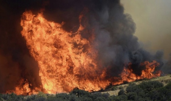 У Каліфорнії вирують лісові пожежі. Крізь щільний дим не видно сонця