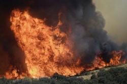 У Каліфорнії вирують лісові пожежі. Крізь щільний дим не видно сонця