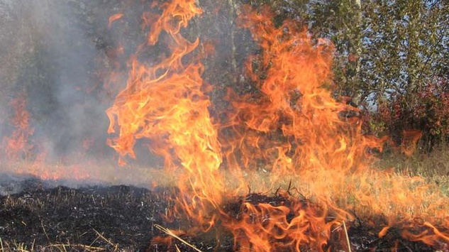 Рятувальники попереджають про надзвичайну пожежну небезпеку в Україні