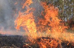 Рятувальники попереджають про надзвичайну пожежну небезпеку в Україні