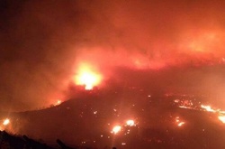 У Туреччині поблизу бази НАТО сталася велика пожежа