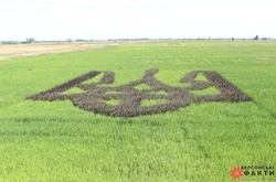 Науковці виростили з рису найбільший у світі герб України