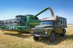 Українські аграрії намолотили 29 мільйонів тонн зернових 