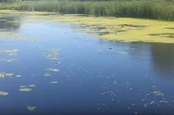 Прокуратура відкрила кримінальне провадження за фактом забруднення річки Остер