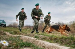 Чотирьох порушників, які чинили опір прикордонному наряду затримали на Закарпатті