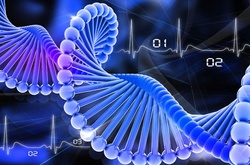 25 фактов о ДНК, которые помогут вам лучше понять себя