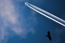 У Польщі повідомили про перехоплення літака РФ, - ЗМІ