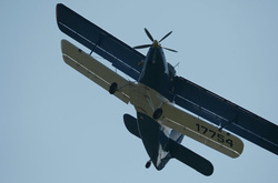 У Росії розбився літак