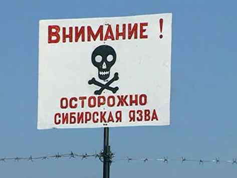В Росії стрімко збільшується кількість людей, госпіталізованих через сибірську виразку