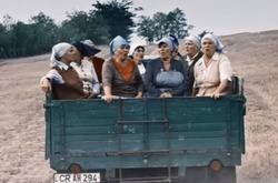 Молдавские фермеры взорвали соцсети, исполнив хит легендарной группы «Queen»