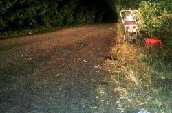 На Київщині п’яний водій збив трьох дітей та втік