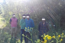 На Закарпатті затримали чотирьох нелегалів із Індії 