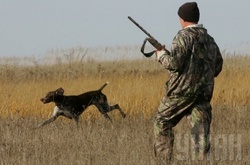 Біля Кропивницького стартує мисливський сезон 