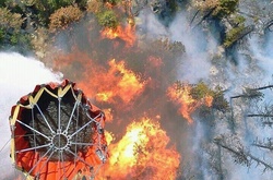 Масштабна пожежа на Канарах: майже 2,5 тис. людей евакуювали