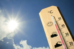 Спека в Україні: оголошено найвищий рівень пожежної небезпеки