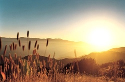 На початку тижня до України повернеться спека 