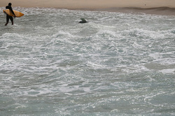 В олімпійському Ріо ледь не потонув прес-аташе Федерації п'ятиборства Росії 