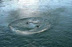 Тіло священика знайшли у водоймі в Києві