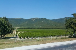 Російська церква почала випускати алкоголь