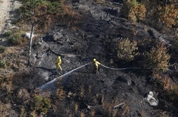 Масштабна лісова пожежа у Канаді: горить 240 га