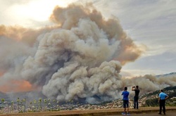 Португальський острів охопили масштабні пожежі: тисячі людей евакуйовані